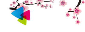 章鱼中文小说